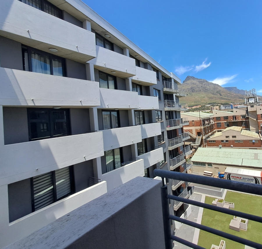 To Let 0 Bedroom Property for Rent in Observatory Western Cape